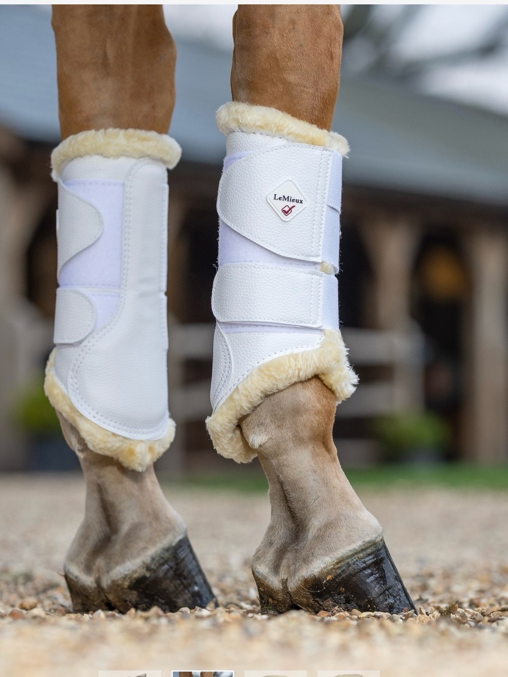 Lemieux Pro Sport Fleece Lined Brushing Boots XL